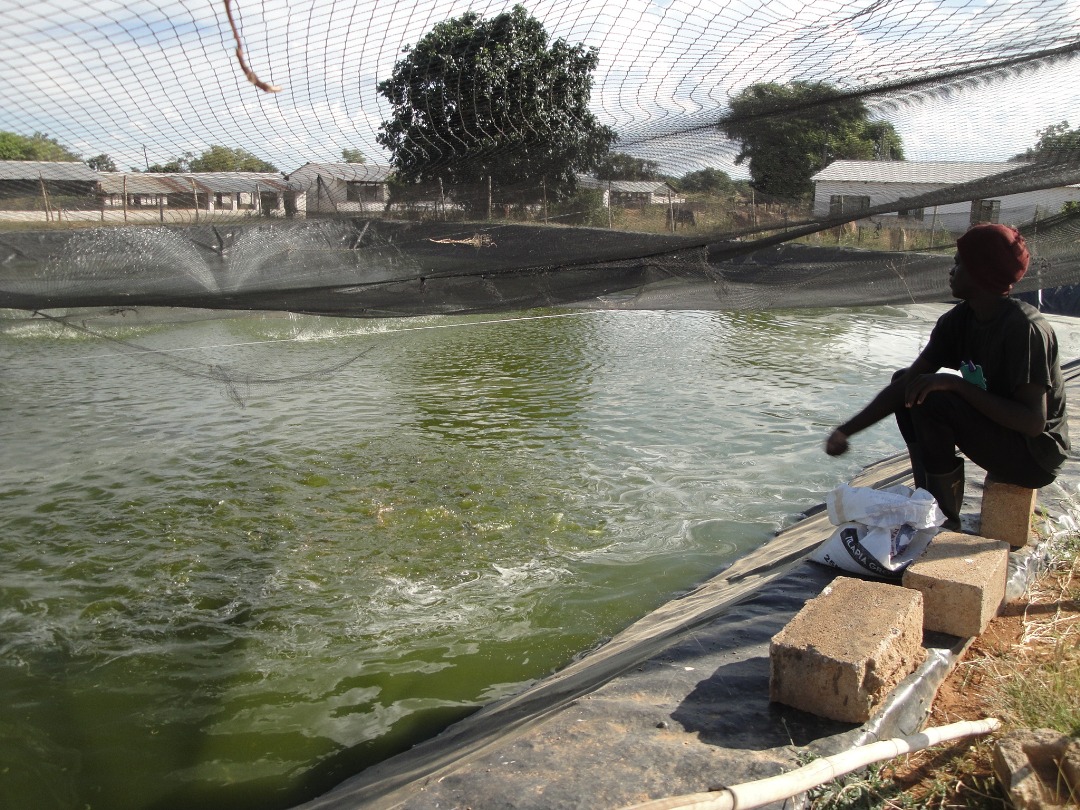 Yosemite National Park